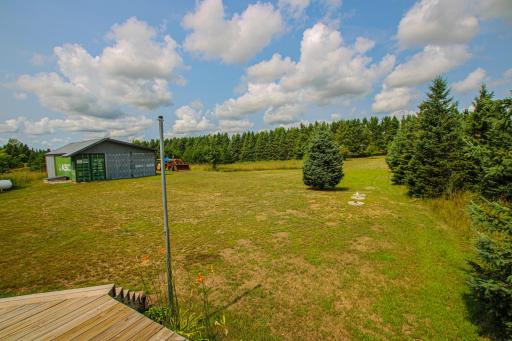 Front Yard.jpg