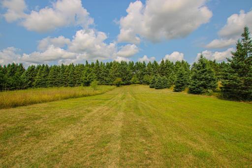 Front Yard.jpg