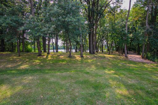 Backyard Lake View.jpg