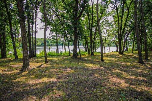 Backyard Lake Viewjpg