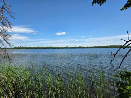 TBD N Moose Lake Road NE, Pennington, MN 56663