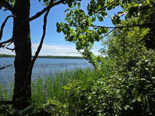 TBD N Moose Lake Road NE, Pennington, MN 56663