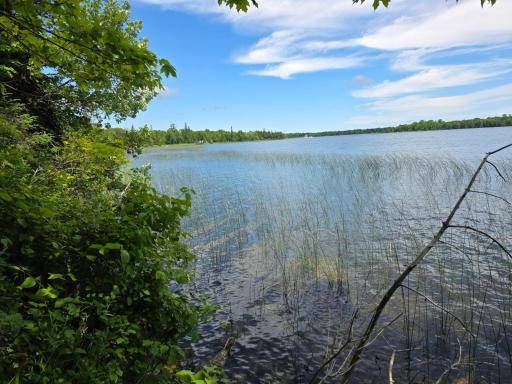 TBD N Moose Lake Road NE, Pennington, MN 56663