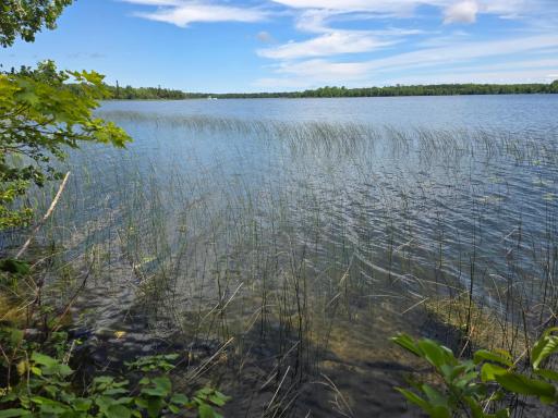 TBD N Moose Lake Road NE, Pennington, MN 56663