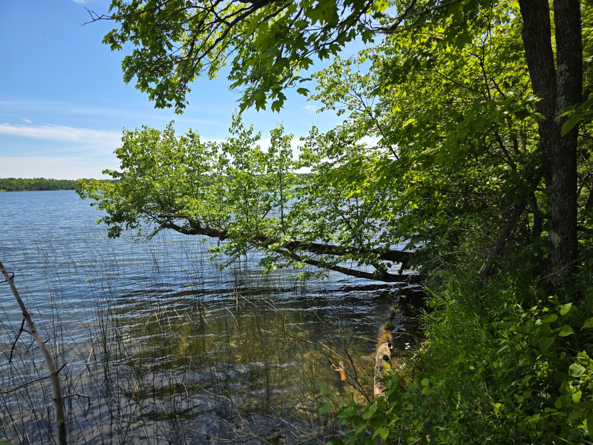 Property photo for TBD N Moose Lake Road NE, Pennington, MN 56663