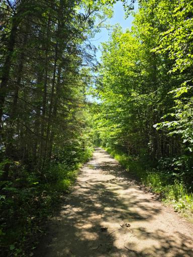 TBD N Moose Lake Road NE, Pennington, MN 56663