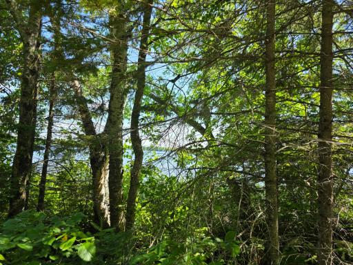 TBD N Moose Lake Road NE, Pennington, MN 56663