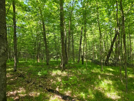 TBD N Moose Lake Road NE, Pennington, MN 56663
