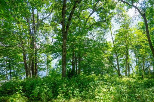 8815 Arrowhead Court, Pine River, MN 56474