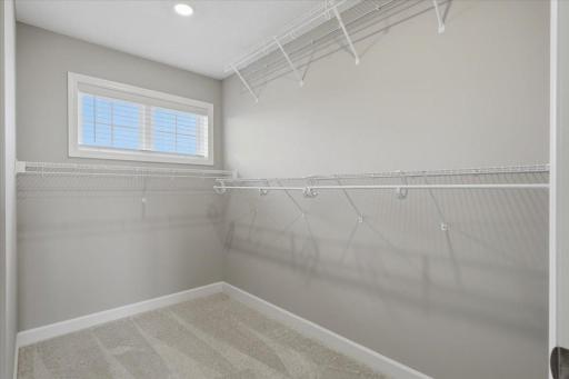Generous primary walk-in closet offering plenty of space.