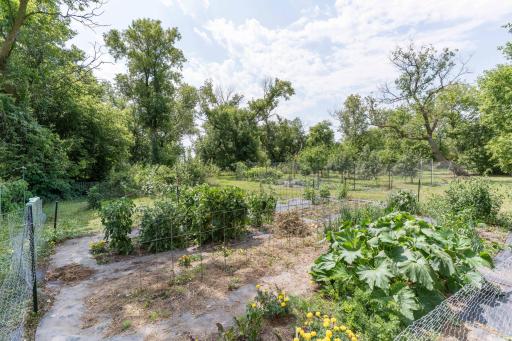 garden