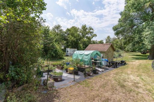 green house/garden