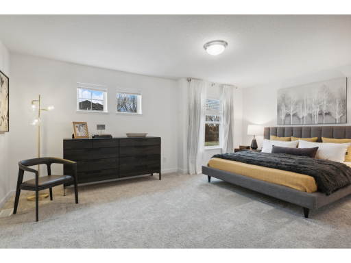 (Photo of a decorated model, actual homes finishes will vary) Find your retreat in this stunning owner's suite. Enjoy the exclusivity of a private bath and huge walk-in closet.