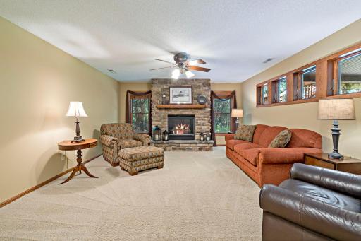 Lower level family room/walkout