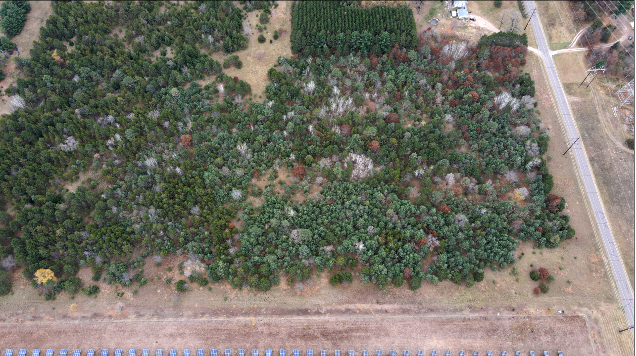 AERIAL - 4 PNG.png