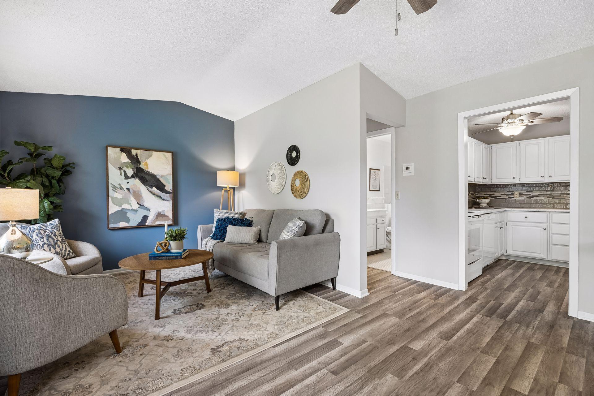 Living Room and Kitchen