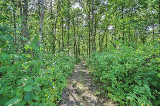 49363 Morrison Line Road, Motley, MN 56466