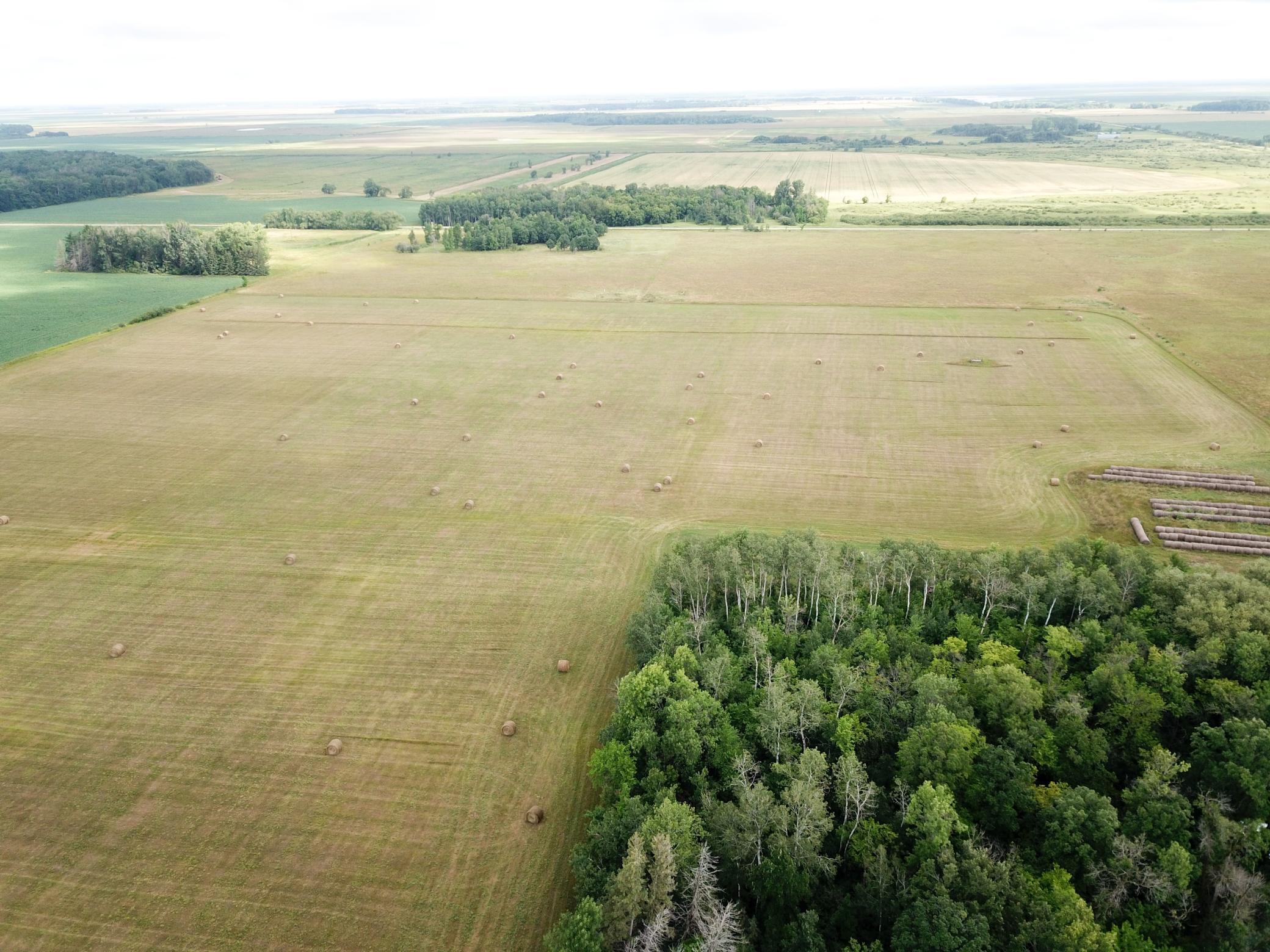 DJI_0033.JPG