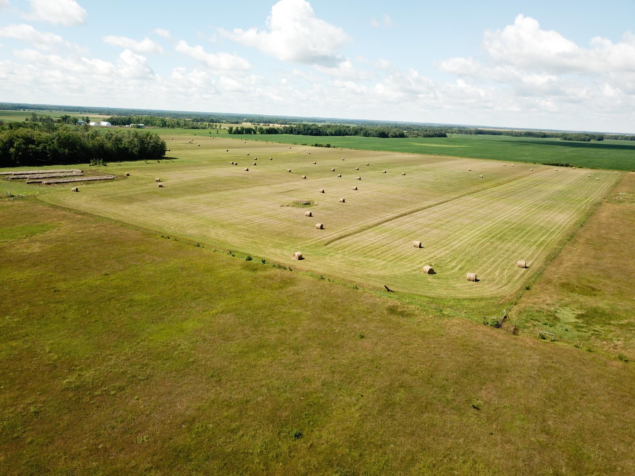 DJI_0057.JPG