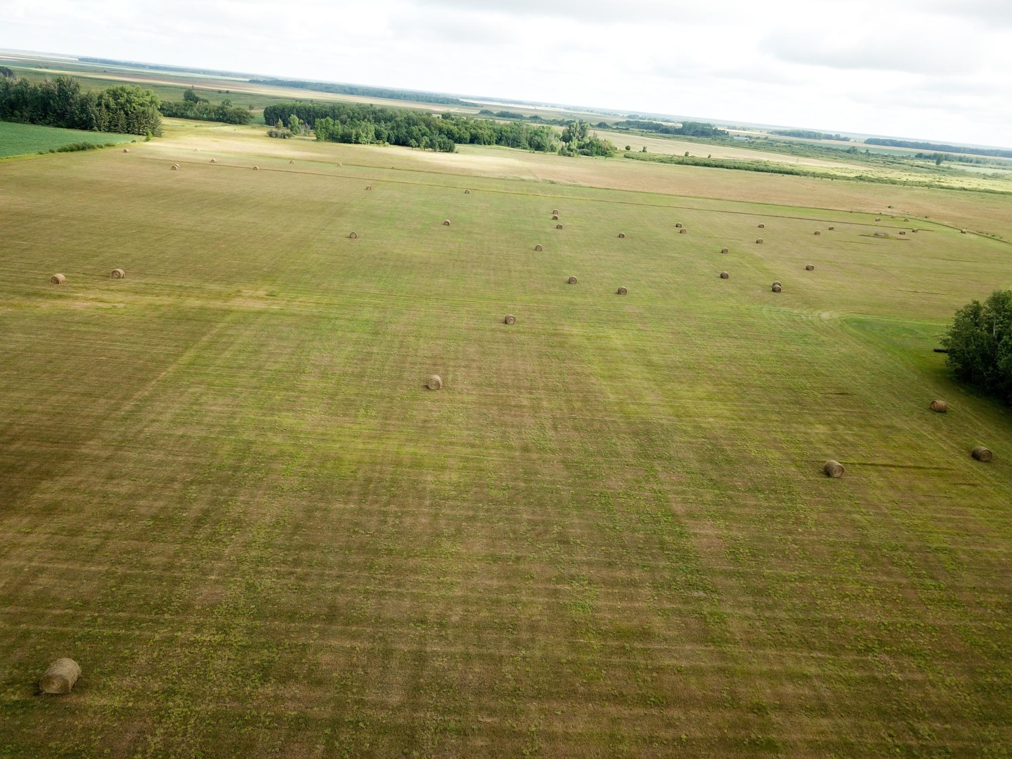 DJI_0036.JPG