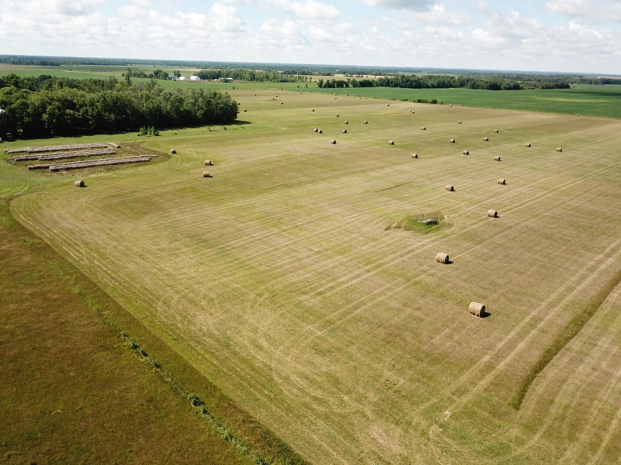 DJI_0060.JPG