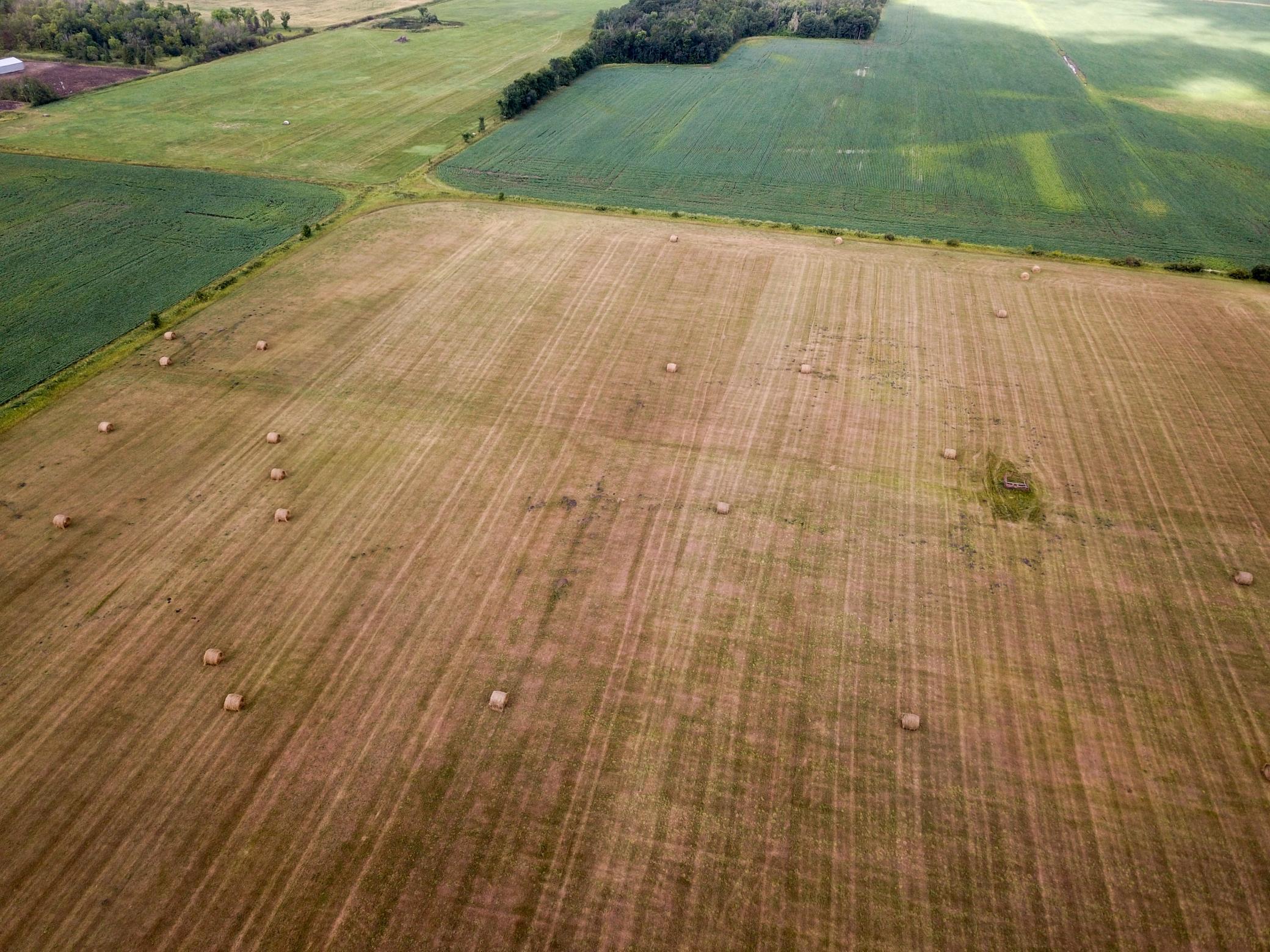 DJI_0034.JPG