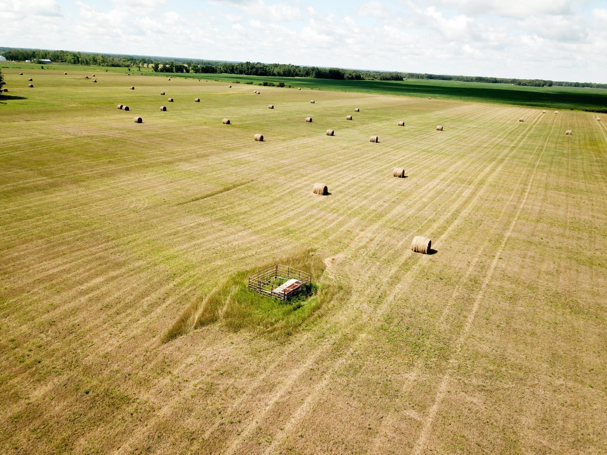 DJI_0064.JPG