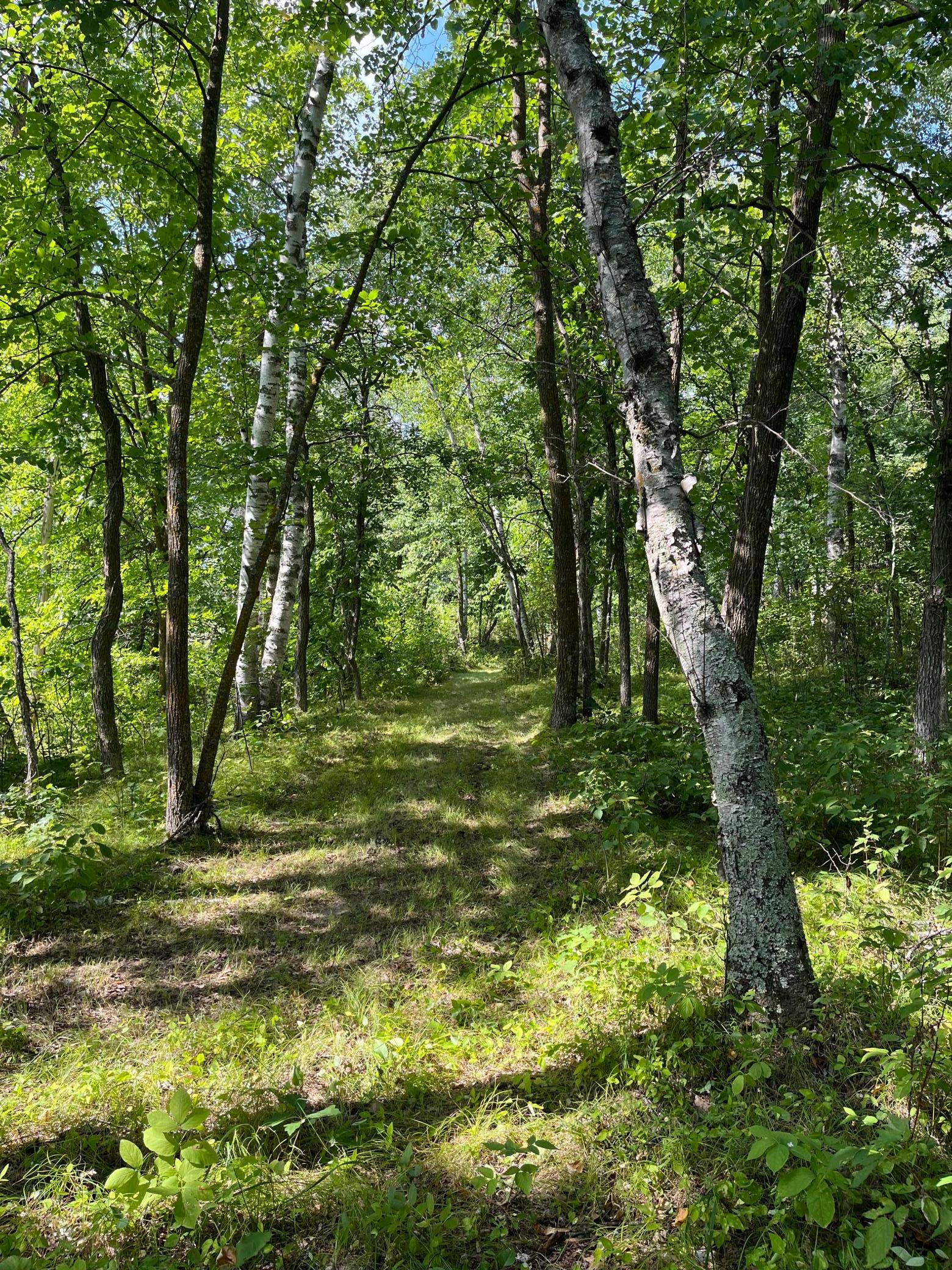 Photo 27