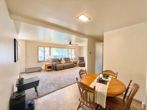 16 S Paffrath Avenue, Springfield, MN 56087