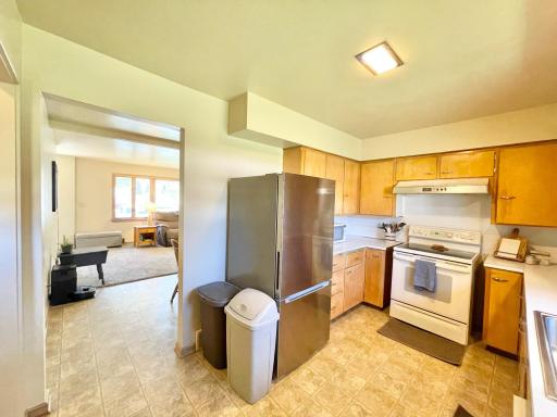 16 S Paffrath Avenue, Springfield, MN 56087