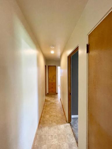 16 S Paffrath Avenue, Springfield, MN 56087