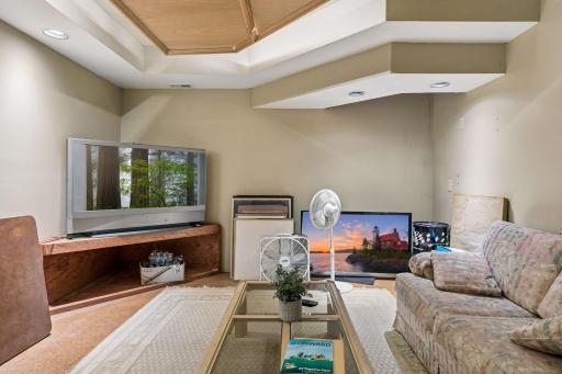 Lower-level family room is perfect for movie nights