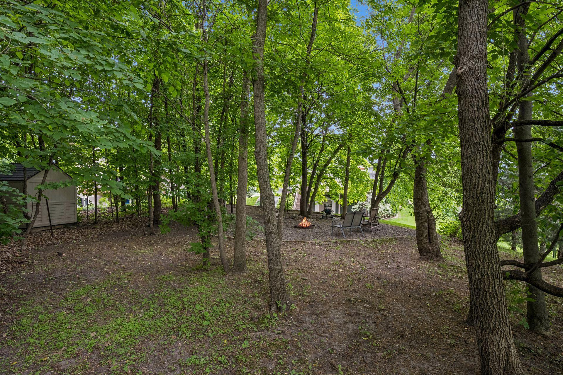 Secluded backyard