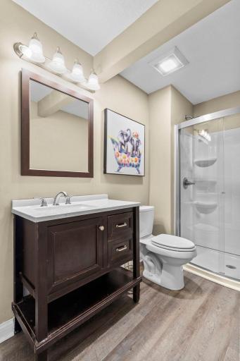 Main floor bathroom just off the mudroom
