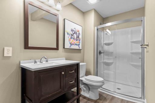 Main floor bathroom