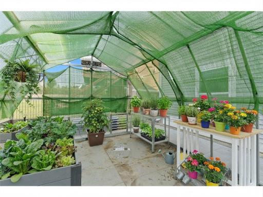 Start your Spring plants in a green house, the plants are virtual