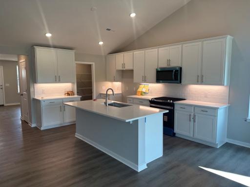 Spacious Kitchen and Large Pantry.jpg