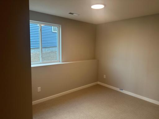 Lower Level Bedroom.jpg