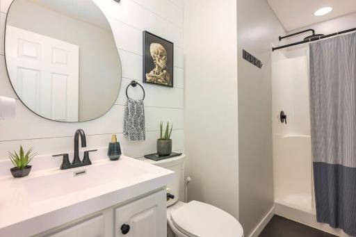 Lower level updated bath