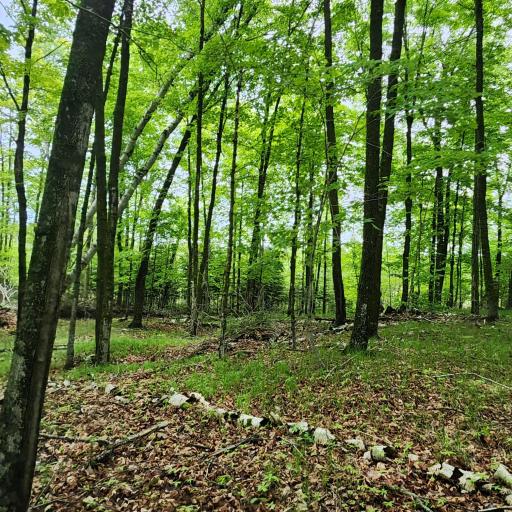 3157 4th Avenue NW, Longville, MN 56655