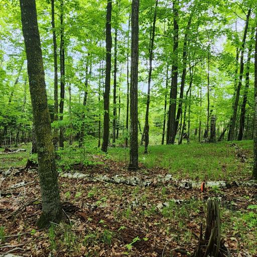 3157 4th Avenue NW, Longville, MN 56655