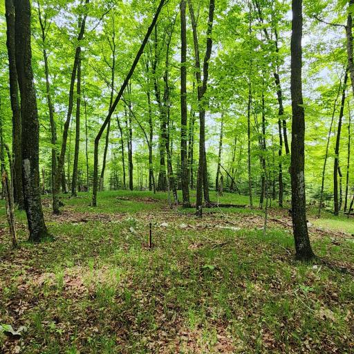 3157 4th Avenue NW, Longville, MN 56655