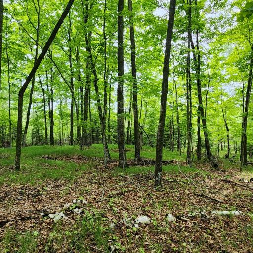 3157 4th Avenue NW, Longville, MN 56655