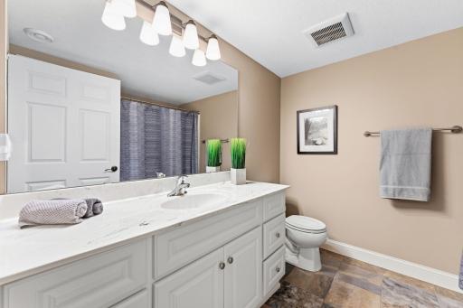 Lower level full bath