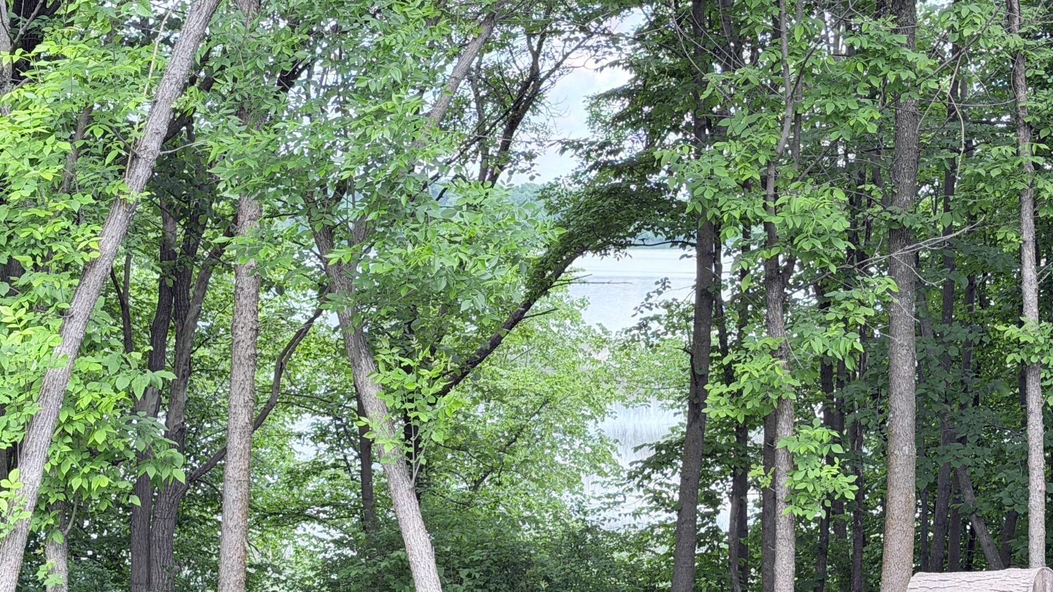 Stalker Lake - views