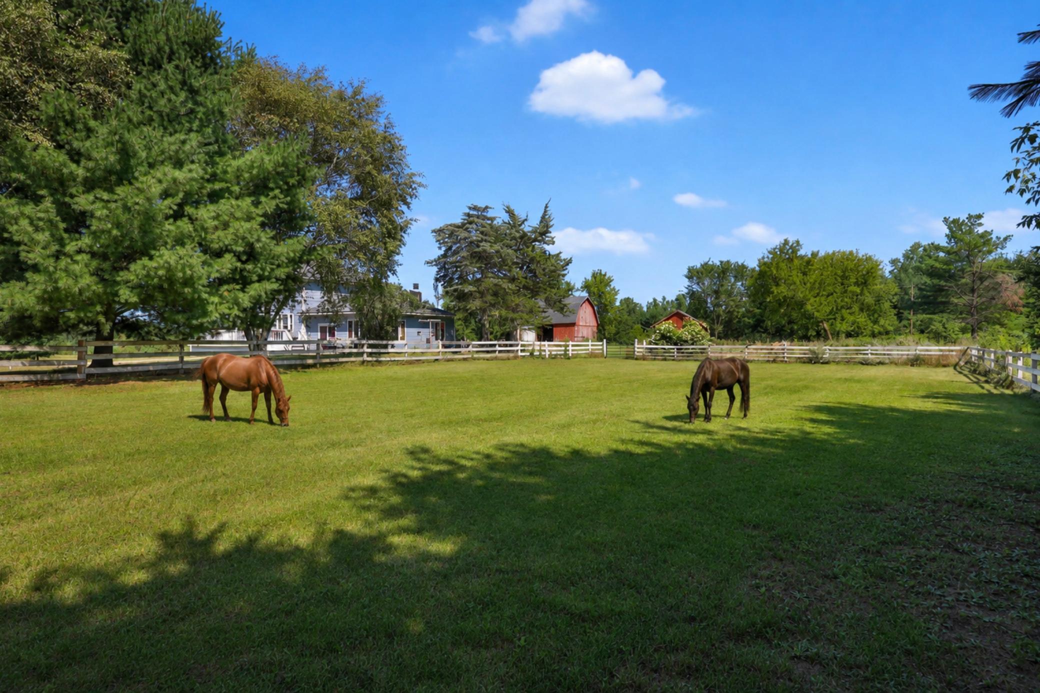 Bring your horses!