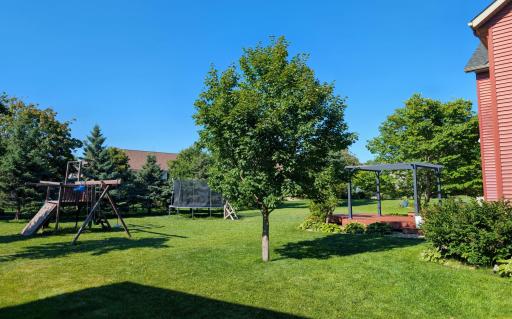 442 Backyard 3.jpg