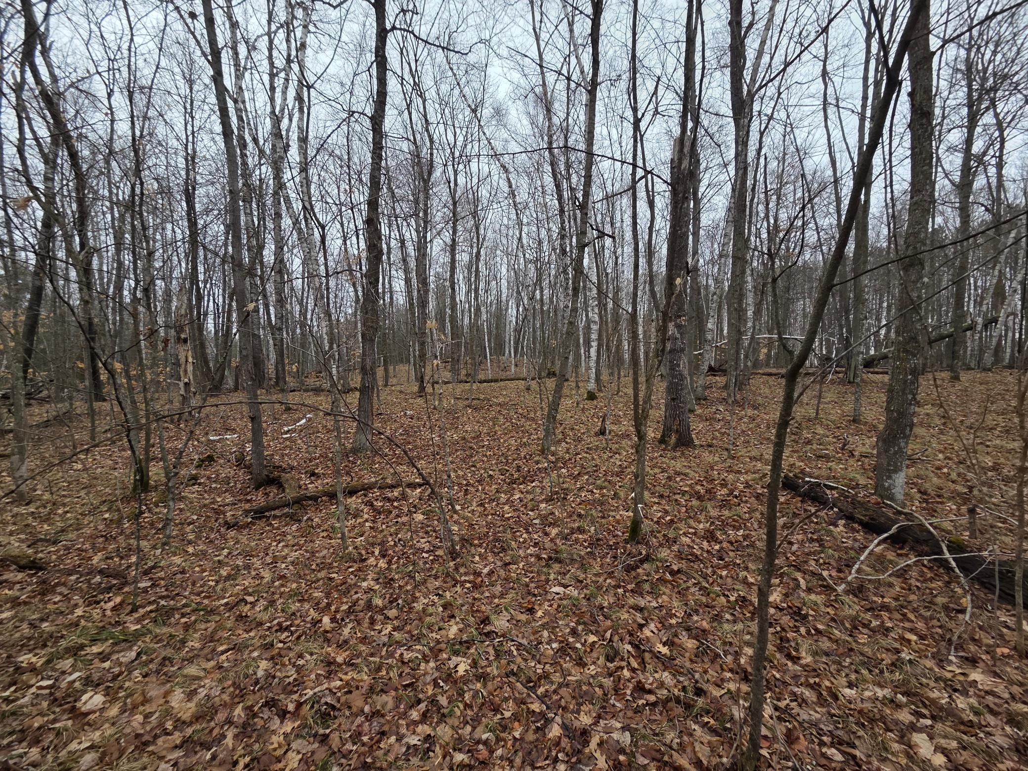 20260414_105719.jpg