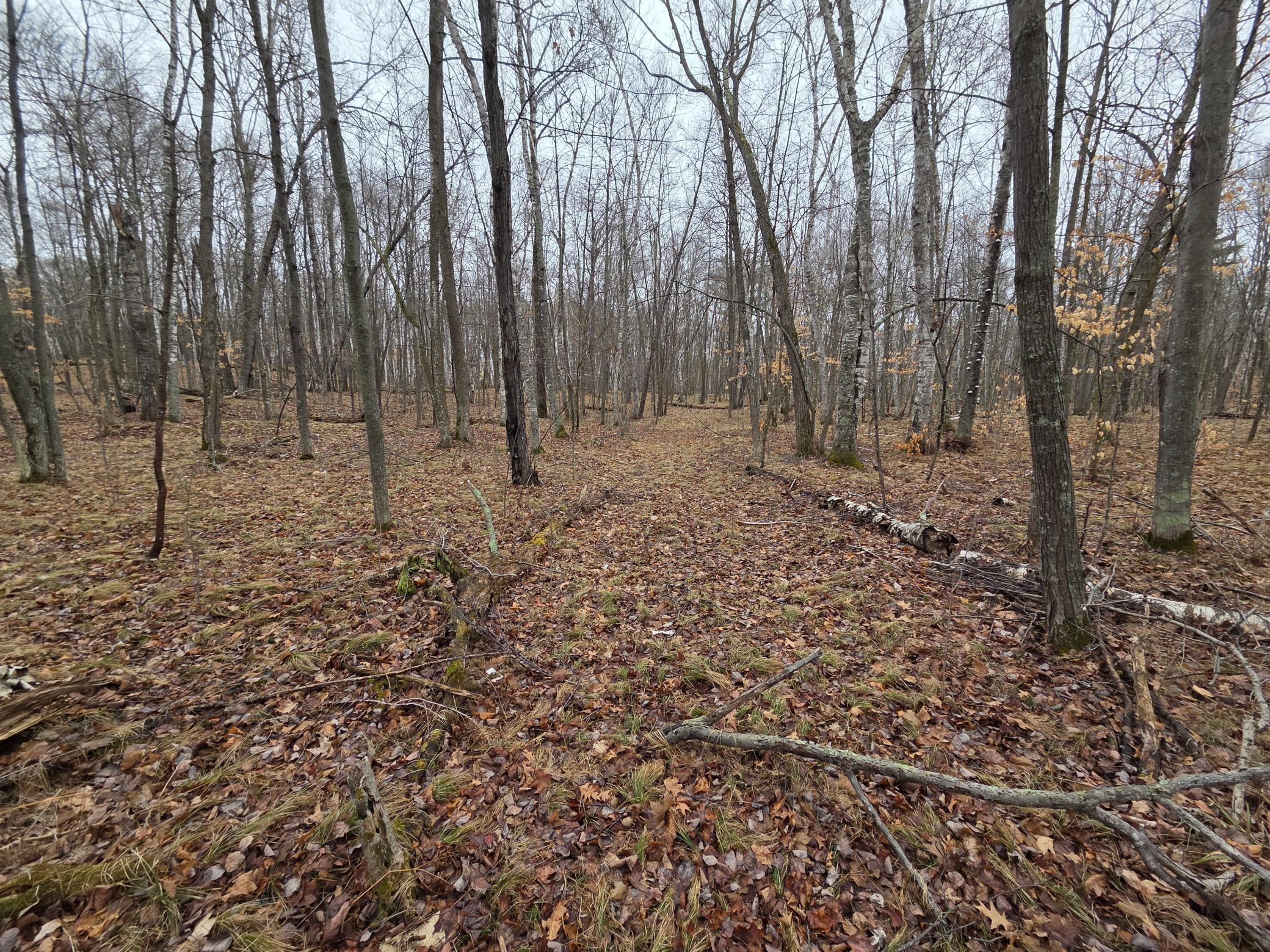 20260414_105653.jpg