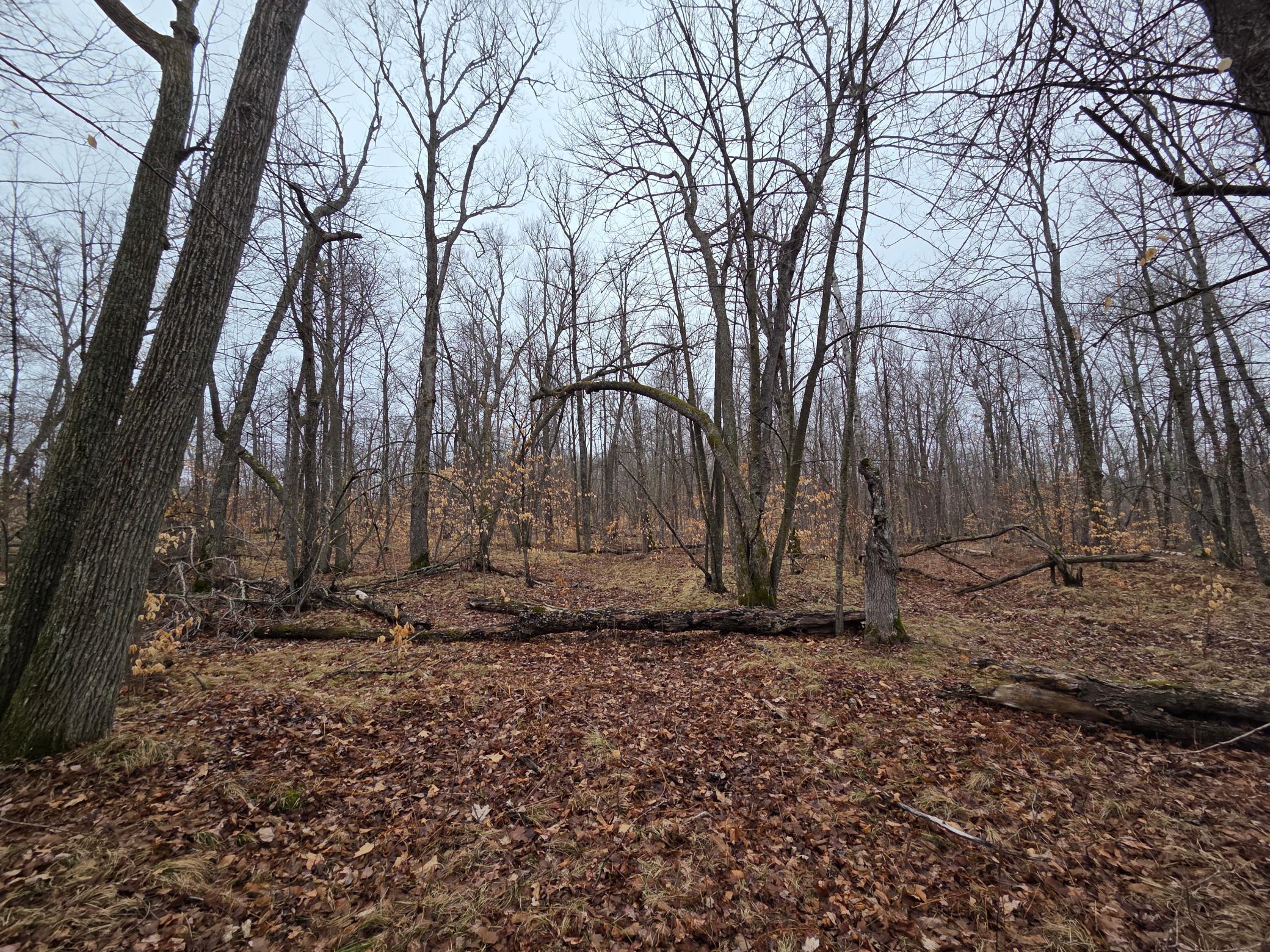 20260414_105836.jpg